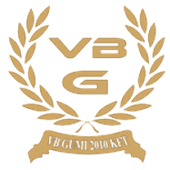 VB Gumi 2010 Kft.